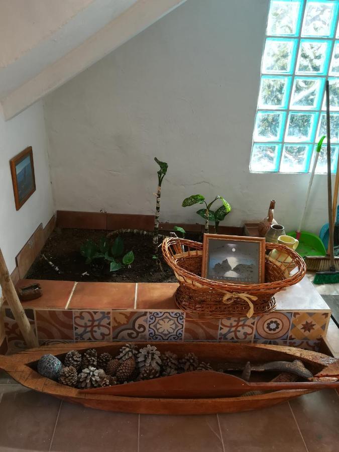 Maison d'hôtes Casa Mamanena à Mogán Extérieur photo